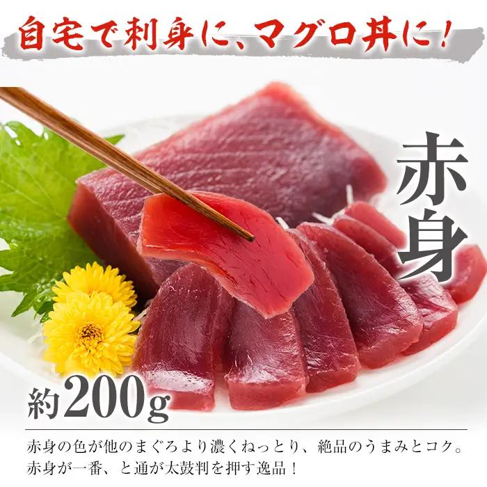 南まぐろ 中トロセット 約600g（上トロ、中トロ、赤身）まぐろ【00-019-02】