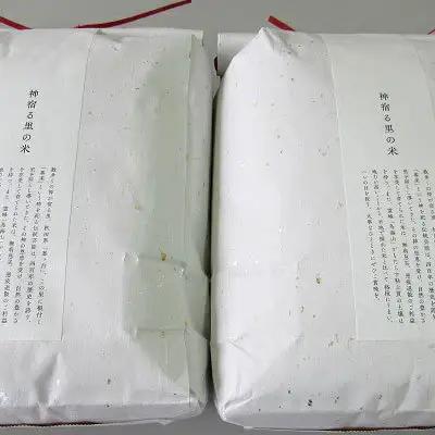 【先行予約】《定期便 6か月》 あきたこまち 10kg  玄米 あきたこまち R8年産