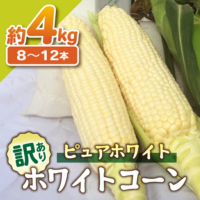 【ふるさと納税】【先行受付2025年発送】訳あり東御市産とうもろこし（ピュアホワイト）約4kg（8〜12本）御牧八重原農園 | スイートコーン※2025年7月上旬頃〜9月上旬頃に順次発送予定※着日指定不可