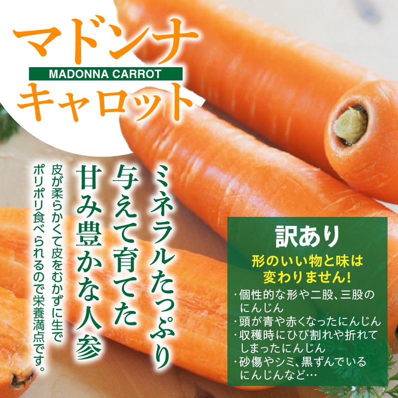 ＜フジテレビ『どっちのふるさと？』で紹介されました！＞ 訳あり にんじん 新玉ねぎ 定期便 2回　旬の美味しい季節にお届け マドンナキャロット 旬玉　H105-131