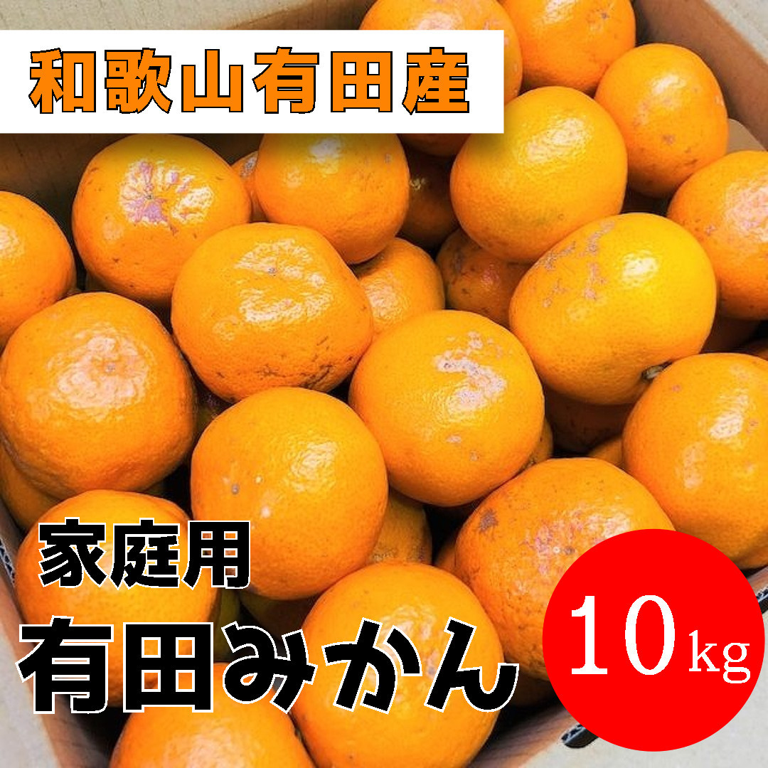 家庭用 有田みかん 10kg (約89個～95個) DJ040