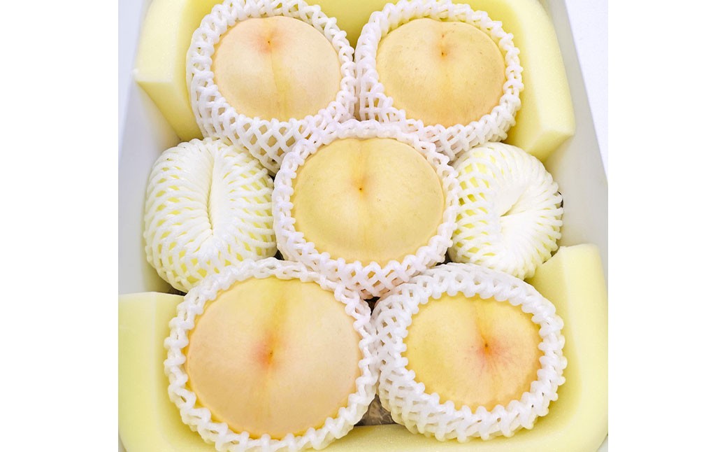 
            岡山県美咲町産 桃 【おかやま夢白桃】約2kg 【2026年7月下旬-8月下旬発送予定】 ／ 白桃 もも 果物 果実 フルーツ 国産 岡山県 美咲町 冷蔵
          