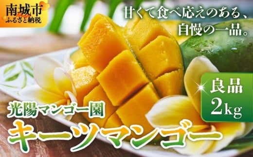＜先行予約・数量限定＞キーツマンゴー 良品（2kg）KM008
