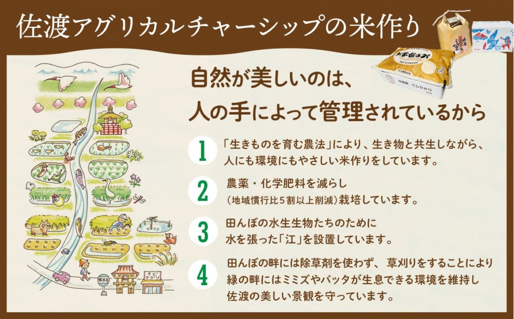 【令和７年産】佐渡島産 特別栽培米こしひかり「大野郷の米」精米5kg×３回 定期お届けコース