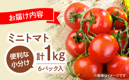  ミニトマト 1kg  [CGP001] ミニトマト