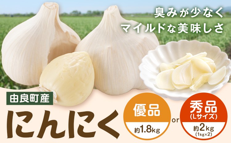 
                  由良町産 にんにく 選べる内容量 優品 約1.8kg 秀品 Ｌサイズ 約2kg(1kg×2)《4月下旬頃より出荷》 スマイル 和歌山県 日高町 ガーリック
                