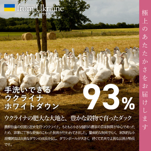  【甲州羽毛肌掛けふとん】手洗いできるウクライナホワイトダウン93% ホワイト（ダブル) ふとんカバー付 羽毛布団 ダブル 掛け布団 洗える 甲州 寝具