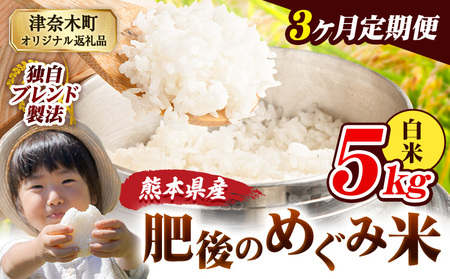 【3ヶ月定期便】熊本県産 白米 ブレンド米 肥後のめぐみ米 5kg 熊本県産 ふるさと納税 精米 米 こめ ふるさとのうぜい コメ お米 おこめ《お申込み翌月から出荷》