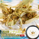 【ふるさと納税】Green Blue あつみ「関川 シナの花BIO石けん作り体験」