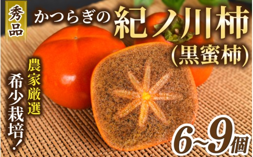 【2026年発送】 紀の川柿 （果実の中身が黒い！黒蜜柿）希少栽培！ 秀品６個～９個 こだわり農家厳選！【※2026年10月上旬から11月上旬頃発送】/ 和歌山県 かつらぎ町 カキ 柿 太秋柿 紀ノ川柿 富有柿 早秋柿 秀品 紀の川柿 かき フルーツ 旬 秋 【kgr044】