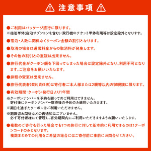 札幌市に泊まるふるさと納税旅行クーポン【30,000円分】