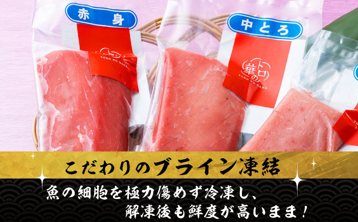 【全6回定期便】対馬産 本マグロ 500g（赤身300g、中トロ200g） ≪対馬市≫【桐谷商店】 トロの華 対馬 新鮮 マグロ トロ 鮪 刺身 鮮度抜群 [WAQ045]