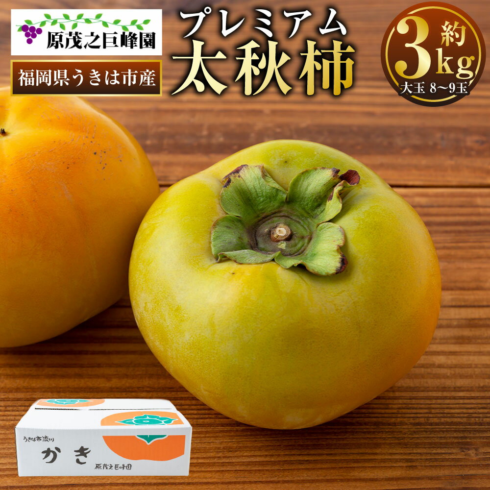 【ふるさと納税】【先行予約】原茂之巨峰園 プレミアム太秋柿 大玉 8玉から9玉 (約3kg) 2025年10月中旬から11月上旬 出荷予定