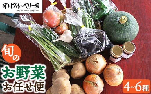 
            宇川ブルーベリー園の旬のお野菜おまかせ便 4～6種 80サイズ箱でお届け　※沖縄・離島への配送不可
          