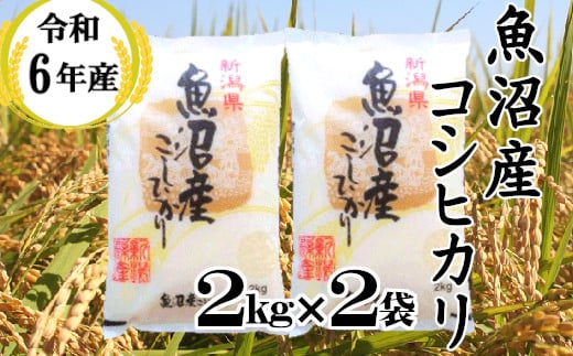 魚沼コシヒカリ　お米定期便