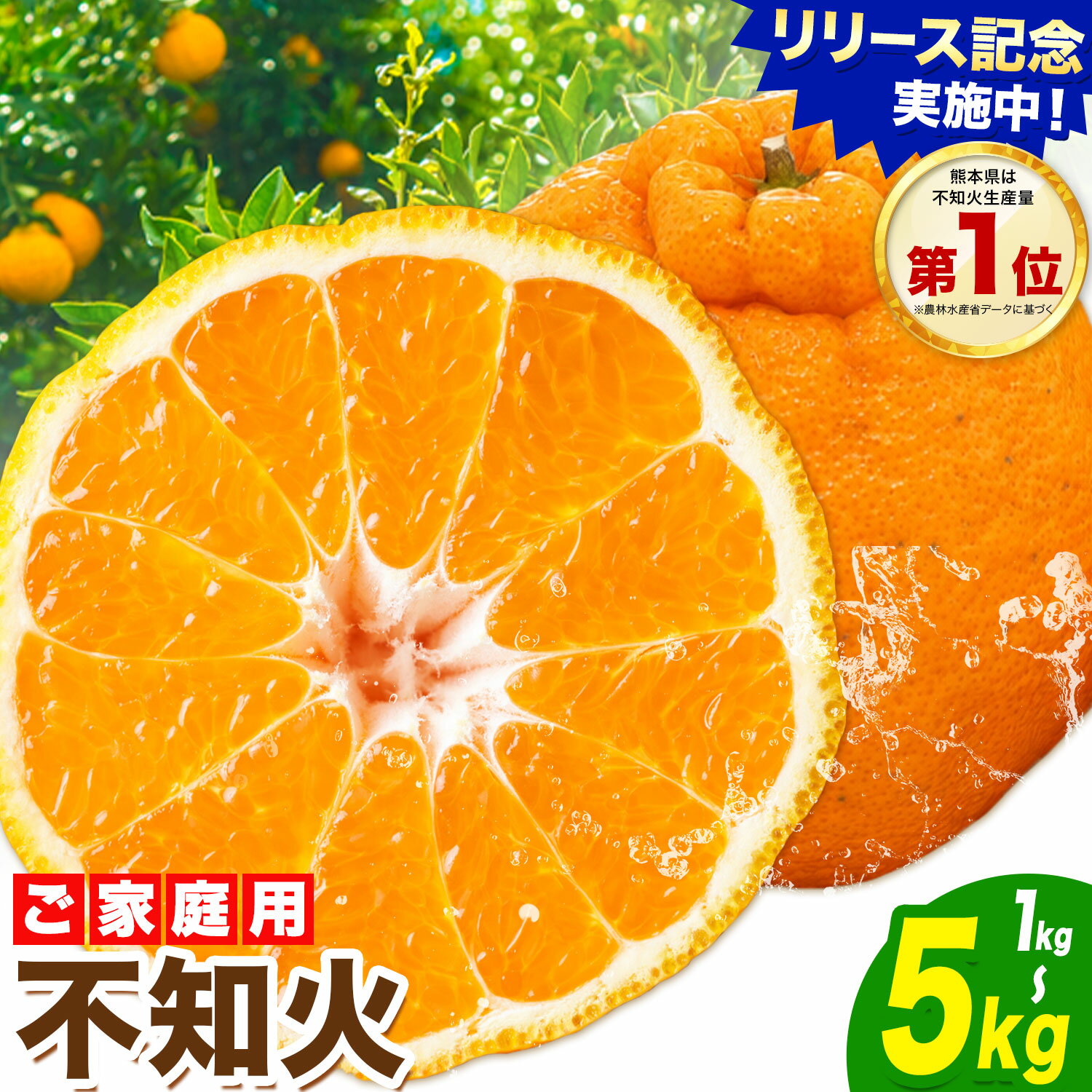 【ふるさと納税】デコポン と同品種！ 不知火 熊本県産 (津奈木町産含む) 訳あり 選べる容量 1kg 2kg 5kg 柑橘《2月上旬-4月上旬頃出荷》 みかん フルーツ 不知火 訳あり 訳アリ ご家庭用 でこみかん みかん 果物