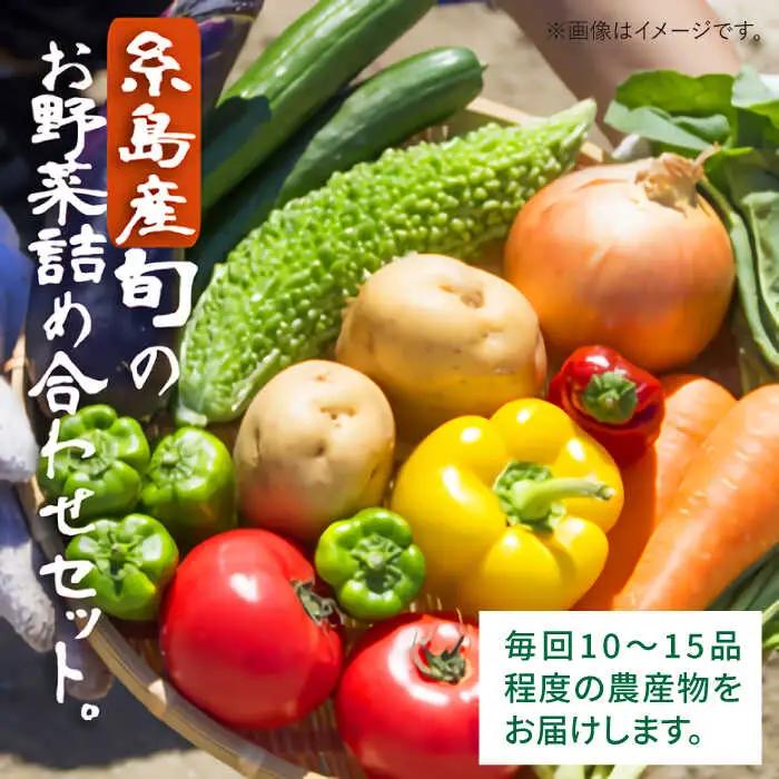 【 全12回 定期便 】 福岡県 糸島産 旬 の 野菜 盛り合わせ セット 《糸島》【株式会社フロンティア・アドバンス】[AWC009]