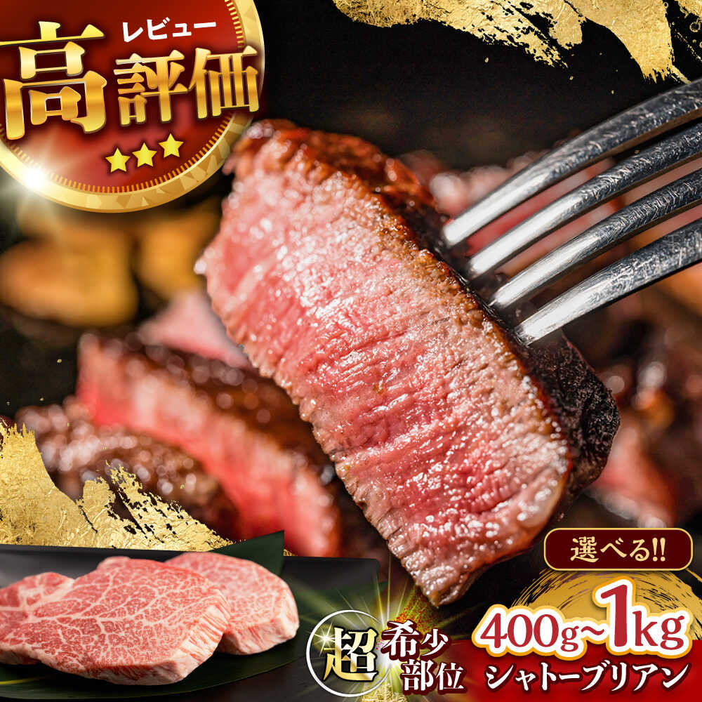 【ふるさと納税】〈選べる容量〉長崎和牛 シャトーブリアン 400g～1kg / 2枚 3枚 4枚 5枚 ヒレ ひれ ヒレステーキ ステーキ すてーき しゃとーぶりあん / 諫早市 / 野中精肉店[AHCW152]