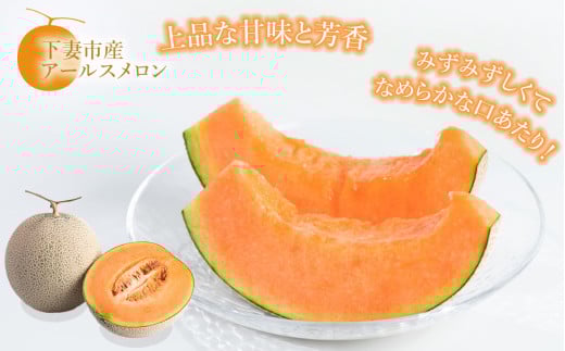 【 先行予約 】 茨城県産 アールスメロン 「 赤 」 【 秀品 】 1個 【 2026年9月上旬 ～ 10月上旬ごろ発送予定 】【 国産メロン 茨城県産メロン メロンの王様 高級メロン めろん  果