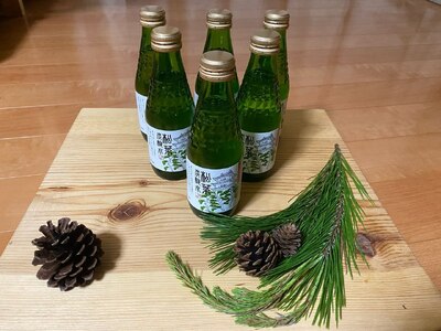 信州高遠産赤松:松葉炭酸水180ml×6本1箱 | 長野県 伊那市 松葉健康法 松葉 高遠 高遠里山の風 里山 再生 保全 松 松葉 炭酸 森林浴 信州 長野県産【010-70】