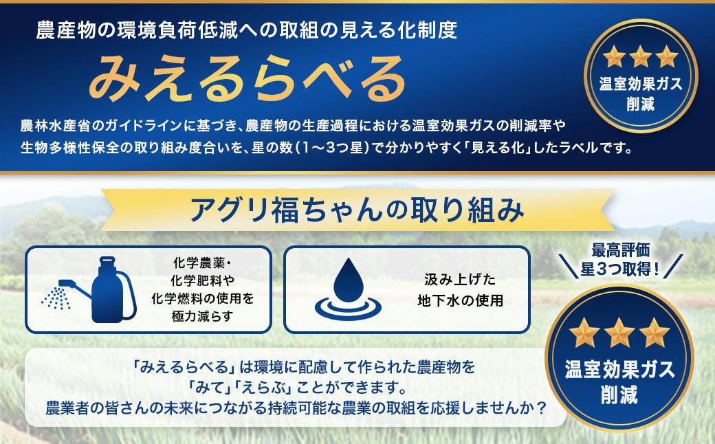 【鹿児島県産】【訳あり】 ナス 3kg なす 茄子