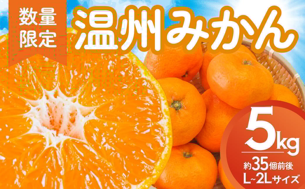 
                  多気町産 温州みかん 5kg L～2Lサイズ 約35個前後 蜜柑 みかん ミカン 柑橘類 柑橘 フルーツ 果物 くだもの 人気 美味しい  三重県 多気町 GF-04
                
