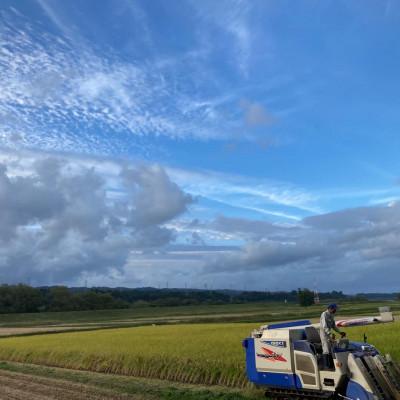 ふるさと納税 十日町市 特栽コシヒカリ&新之助　各5kg×1セット(精米) |  | 02