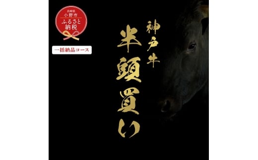 【和牛セレブ】神戸牛半頭分のセレブ体験（一括納品コース）/ 神戸ビーフ BBQ 牛肉 冷凍 ブランド牛 兵庫県 小野市