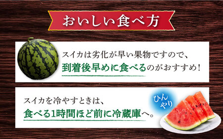【☆先行予約☆】 スイカ 羅王 1玉（約6kg～7kg）＜ファームまるだ＞ [CDT007] 長崎 西海 スイカ すいか 羅王 大玉 贈答 ギフト 夏