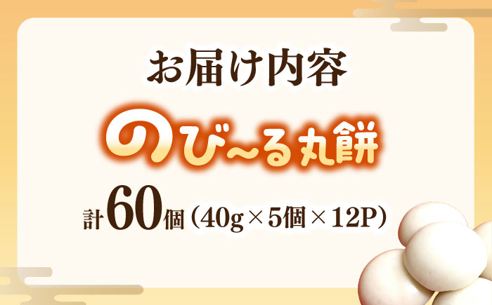【手作りつきたて急速冷凍】佐賀県産もち米100%自慢の杵つき丸白餅(冷凍)計60個入(40g×5個×12P) / 佐賀県 / 山代ガス株式会社 旬菜舎 [41AABM021]