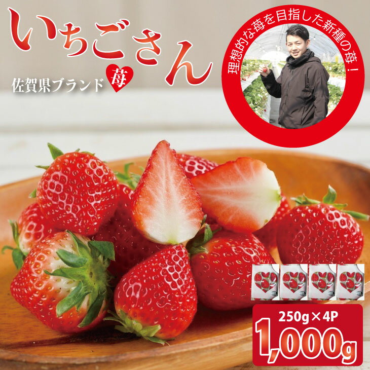 【ふるさと納税】「 いちごさん 」 佐賀ブランド 苺（250g×4セット）なかはら農園 農家 直送品 果物 くだもの フルーツ 人気 ランキング 高評価 苺 イチゴ 【B130-030】