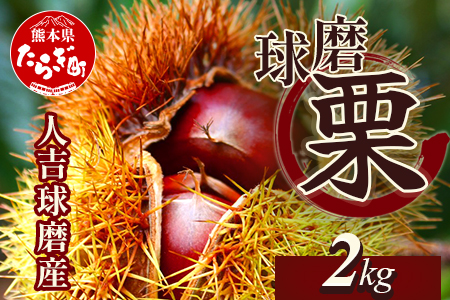 【2025年9月下旬から順次発送】 JAくま 【球磨 栗】 2kg くり 熊本県産 多良木町 くり マロン 旬の味覚 生栗