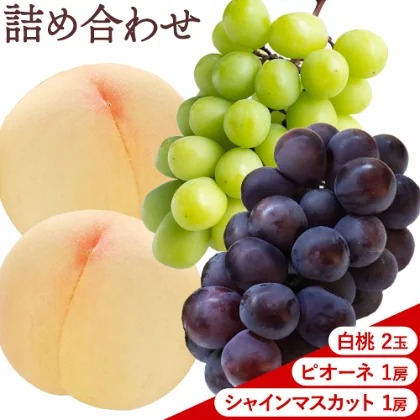 【先行予約】桃 ぶどう 白桃 2玉 約600g（1玉約300g）シャインマスカット 晴王 1房 550g以上 ピオーネ 1房 550g以上 もも 葡萄 詰合せ 岡山 国産 フルーツ 果物 桃茂實苑《6月中旬-8月下旬頃出荷》岡山県 浅口市 フルーツ【配送不可地域あり】