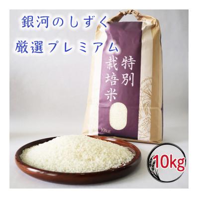 ふるさと納税 花巻市 【令和8年産米先行予約】銀河のしずく 厳選プレミアム (白米)10キロ　特別栽培米