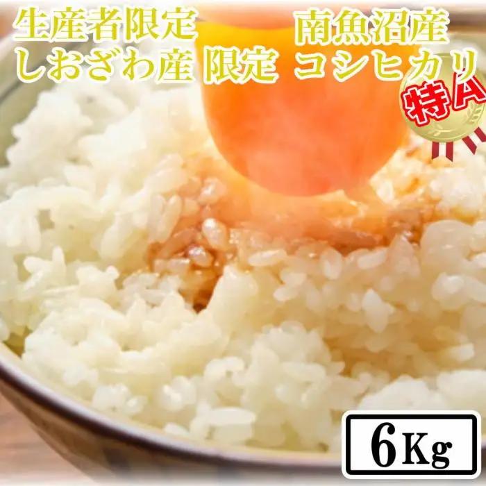 【令和7年】【精米6kg】しおざわ産限定 生産者限定 南魚沼産コシヒカリ｜コシヒカリ
