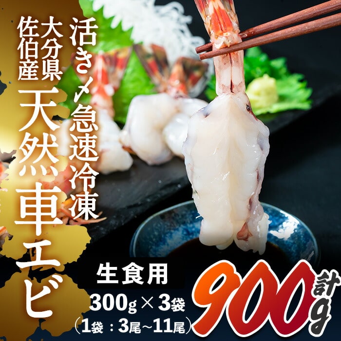 天然 活き〆車エビ 生食用 (計900g・300g×3袋) エビ 海老 車海老 冷凍 刺身 さしみ 天ぷら 塩焼 バーベキュー 国産 大分県産 大分県 佐伯市 やまろ渡邉 【DL19】【鶴見食賓館】