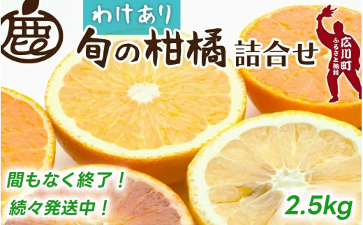 柑橘 詰合せ 2.5kg+75g 訳あり 光センサー / みかん 不知火 清見 八朔 伊予間 セミノール レモン ３種類以上 詰め合わせ 晩柑 ※1月上旬〜6月下旬に順次発送 ※北海道・沖縄・離島への配送不可【ikd049-c-2d5】