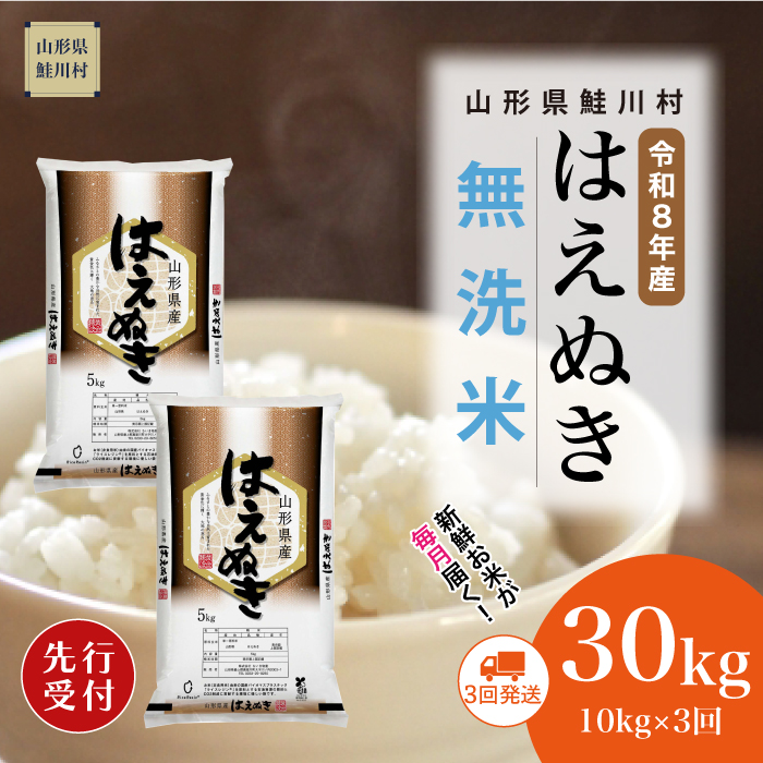 ＜令和8年産米先行受付＞ 山形県産 はえぬき 【無洗米】30kg定期便 (10kg×3回)　配送時期指定できます！