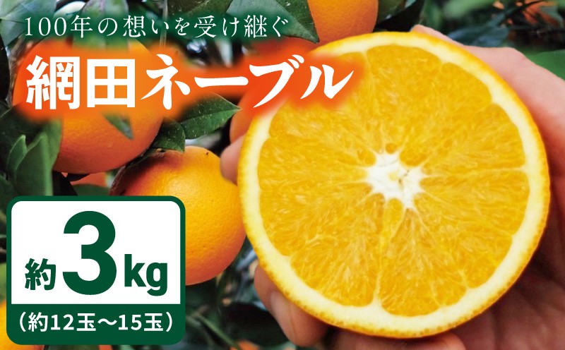 
                  【先行予約】網田ネーブル3kg（約12玉～15玉） _U147-0001
                