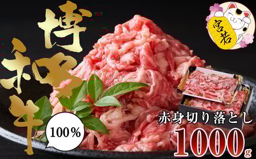 Ｍ545【数量限定】福岡県産 ブランド牛 博多和牛 100％ 切り落とし (モモ・バラ・ウデ混合) 500g×2パック 計1000g