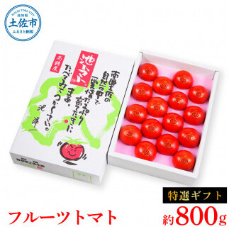 ＜2026年1月下旬より発送＞フルーツトマト特選ギフト約800g トマト フルーツトマト 池トマト 糖度10度以上 高糖度 高知県産 ギフト 箱入り 贈答用 贈り物 健康 美味しい ふるーつとまと お