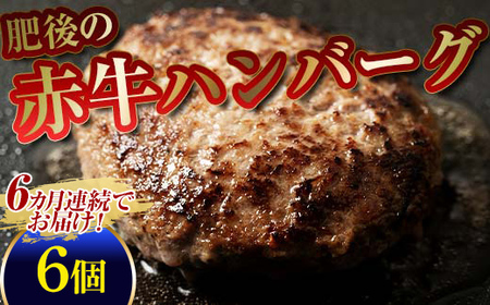 【6カ月定期】肥後の赤牛ハンバーグ（150g×6個） FKP9-596