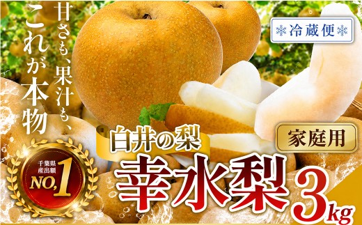 【冷蔵便・訳あり（ご家庭用）】幸水　3kg　6～10玉