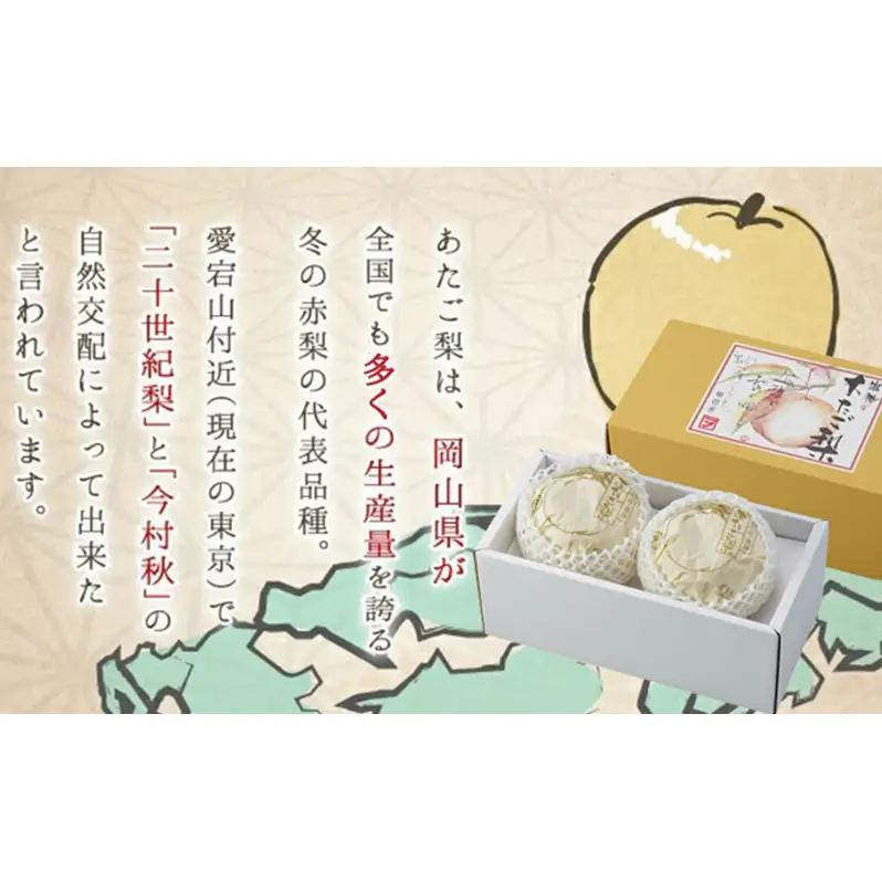 あたご梨 3～6玉 合計約4kg 梨 なし 果物 フルーツ 岡山県産 2026年