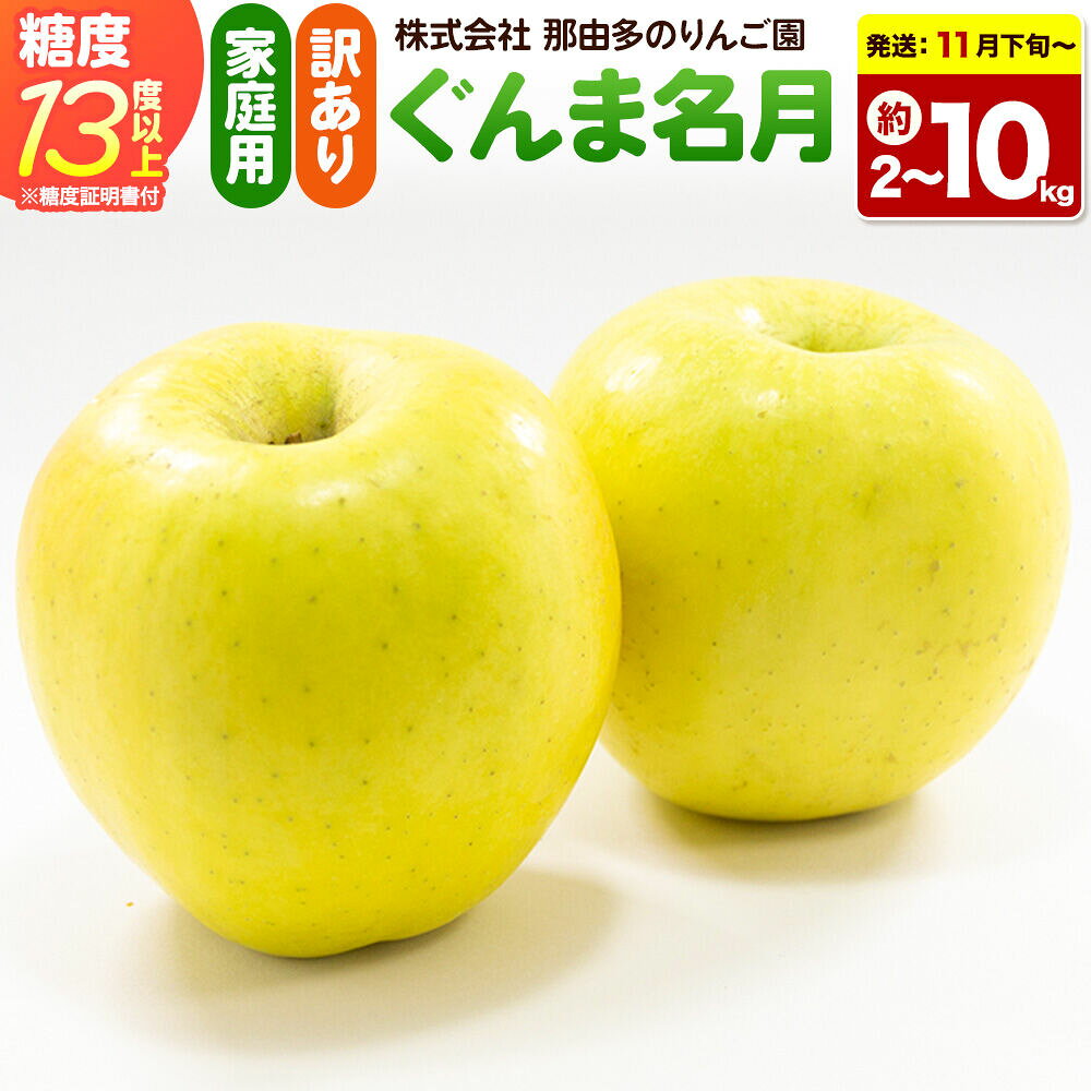 【ふるさと納税】りんご【26年11月下旬〜発送】ぐんま名月【訳あり】【選べる約 2kg／3kg／5kg／10kg】糖度13度以上（糖度証明書付）【先行受付】家庭用 青森県 弘前市 果物 フルーツ 林檎 リンゴ くだもの 不揃い 規格外 [先行予約]