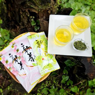 ふるさと納税 真鶴町 初摘み新茶3袋セット　相模湾のミネラルで育つ茶葉!　香り豊かに、色鮮やかに♪【先行受付】