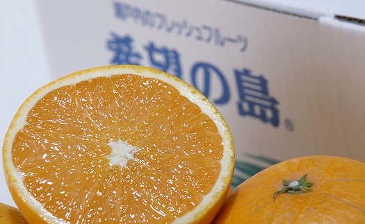 サマー清見 4kg 【2025年4月上旬から発送予定】  愛媛 中島産 愛媛県産 みかん 柑橘 希望の島