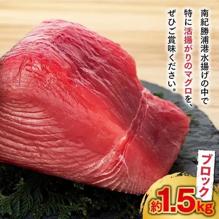 【ギフト用】生まぐろ 約1.5kg まぐろ