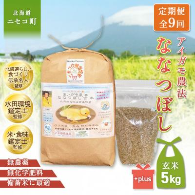 ふるさと納税 ニセコ町 《令和8年産米》【9回定期便】合鴨農法ななつぼし 【玄米】5kg(1kg×5袋)【31075】