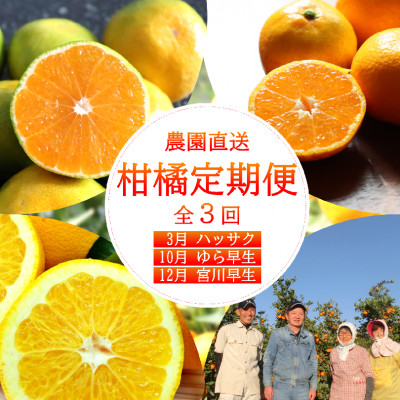 【発送月固定定期便】和歌山からの贈り物　農園直送　季節の柑橘定期便(贈答用)　各5kg全3回【配送不可地域：離島・北海道・沖縄】【4053733】